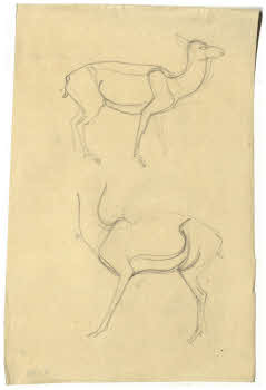 Visualizza l'immagine "FD D 133"